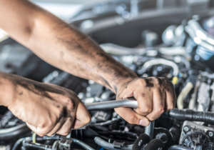 Don Oct Article Featured Image