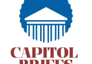 White blue minimalist capitol building logo (8.5 x 11 in)